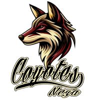 coyotes.neza.fa