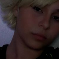 tj_katt