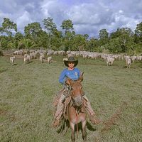 grazieleoliveira0067