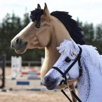 happy_hobbyhorse