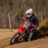 crf.camdyn