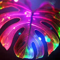 original sound - monsttera.and.co