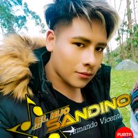 elhijosandino