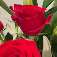auremery1