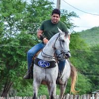 .pedrohenrique