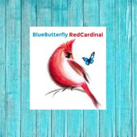 bluebutterflyredcardinal