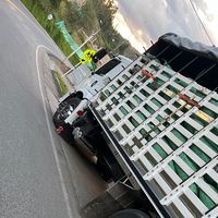 gerson_000215