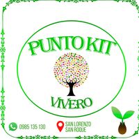 puntokitvivero
