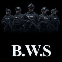 bws_security1
