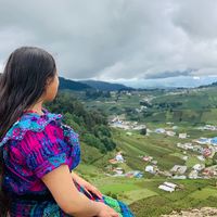 diliaenzzbp
