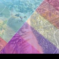 _matthew_on_paws