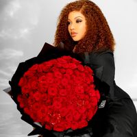 zinatycollection