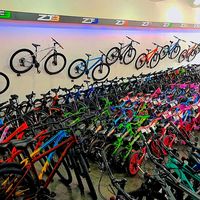 fefobikes