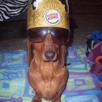 original sound - ilovekrsmto