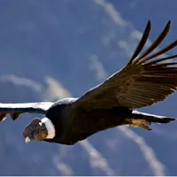 original sound - nuestramusica77