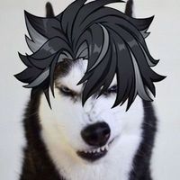 _jeemee_