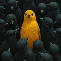 Why you pulled me over