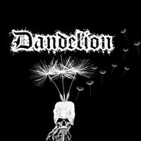 dandelion_tiendaderopa