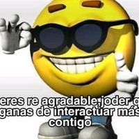 lachavisa547