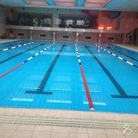 swim176