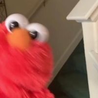 original sound - ✨Kyle_sakura.official✨