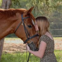 carlywb.equine