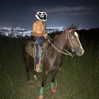 elio.tovar7