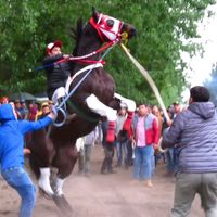 carreras1_2