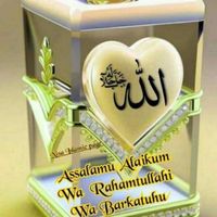ladiv931
