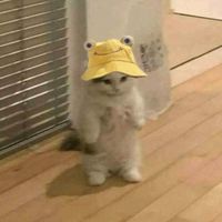 .kamy_kjkjkj