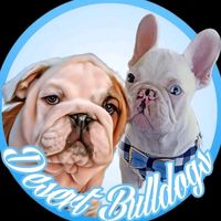 desertbulldogs