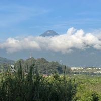 cebaugu7