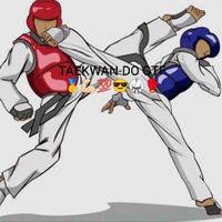 taekwando113