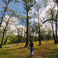 suara asli - noyhetmina