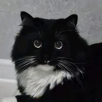 .frig._