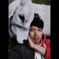 original sound - lavidaenelcamp0