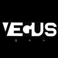 vegusink
