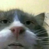 MEU CELL TA TRAVANDO