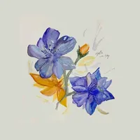 original sound - bowdowntoarmin