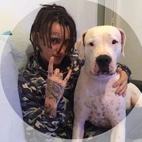 оригинальный звук