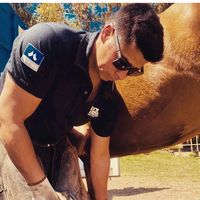 javierreyes_herrador