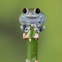 Freak x Really Witty