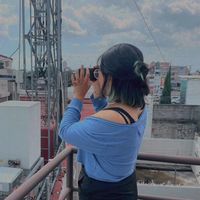 sofi_lynix