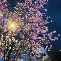 原声 - theflowstyle