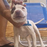 maxapbtsp