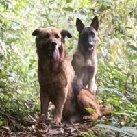 mariaforeverliving134