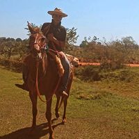 ildin_07