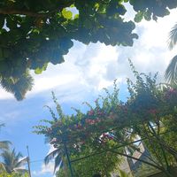 anni_2420