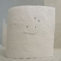 toilet_paper59