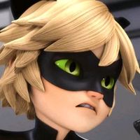 chatnoir_rol_
